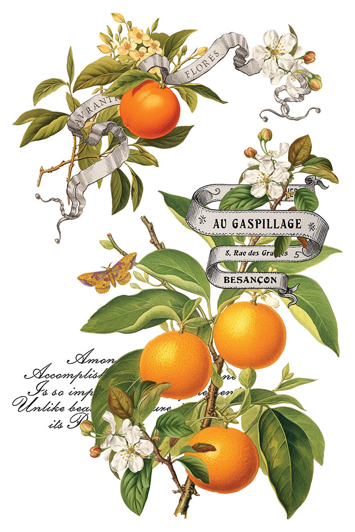 Clementine IOD Transfer