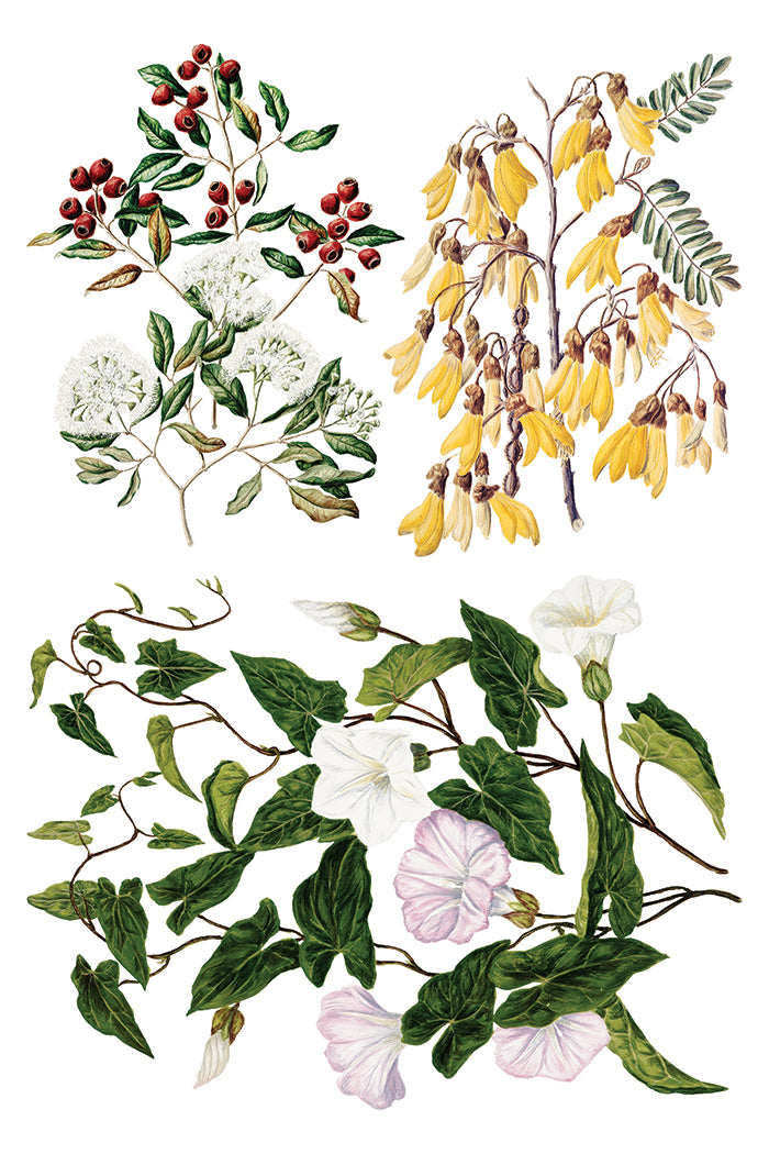 Sarah Featon’s Botanicals IOD Transfer 8x12 Pad™