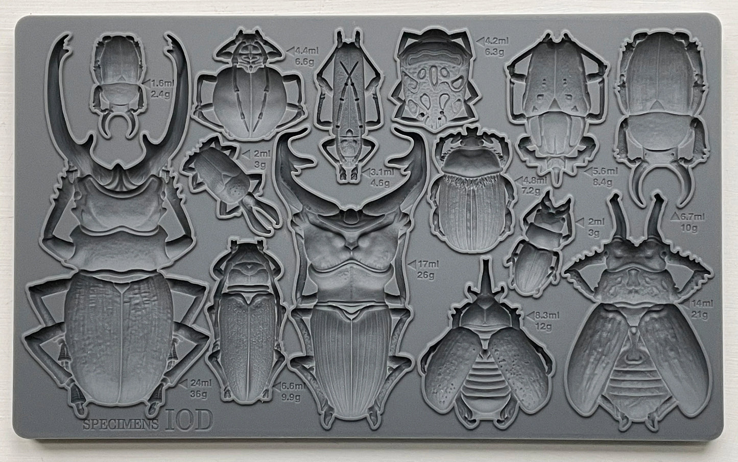 Specimens 6X10 IOD Mould™
