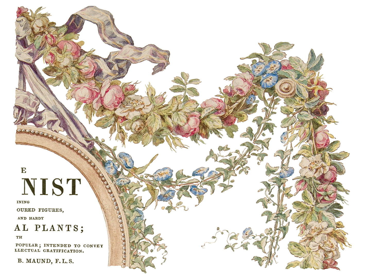 IOD Transfer The Botanist