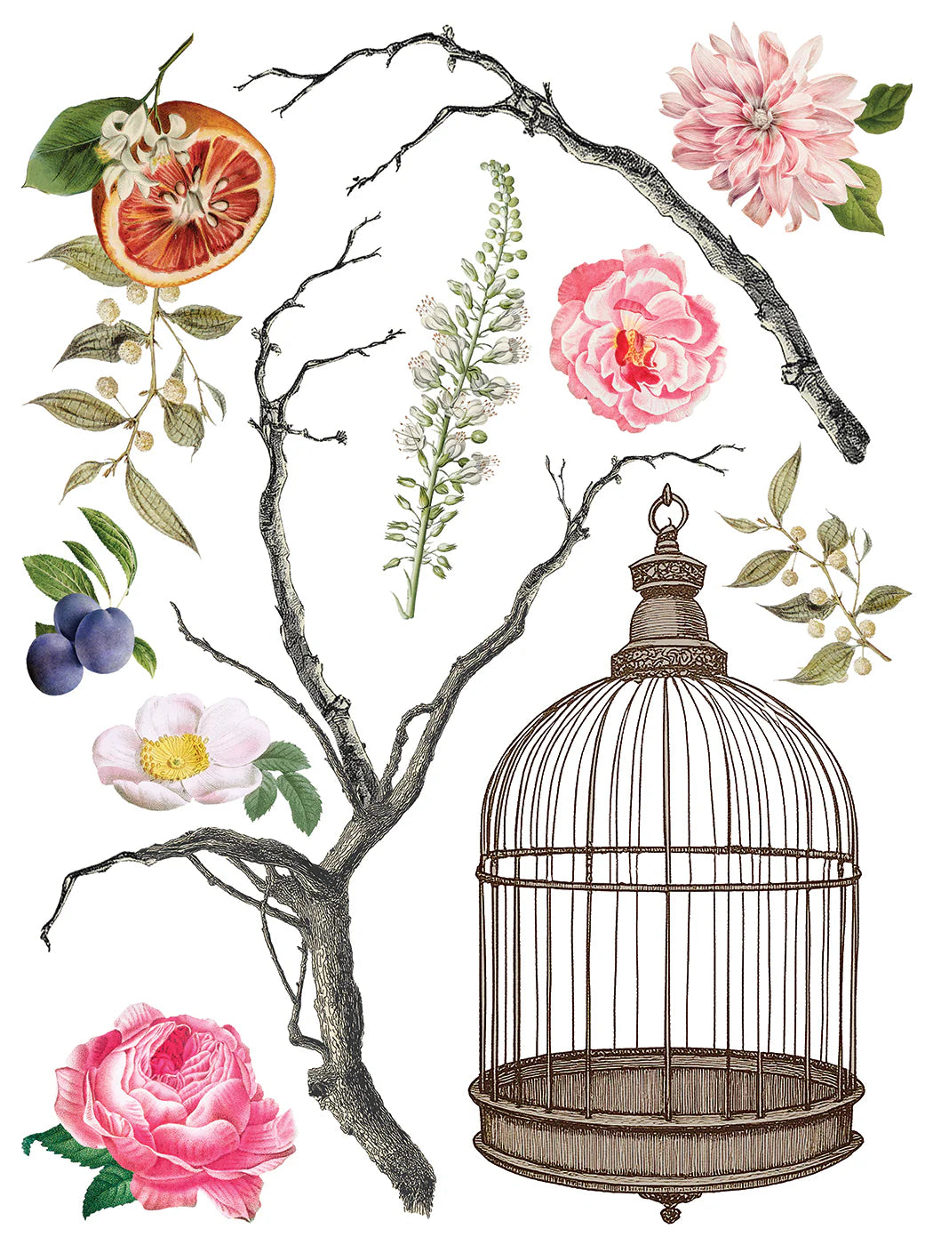 Menagerie IOD Transfer 12x16 Pad™