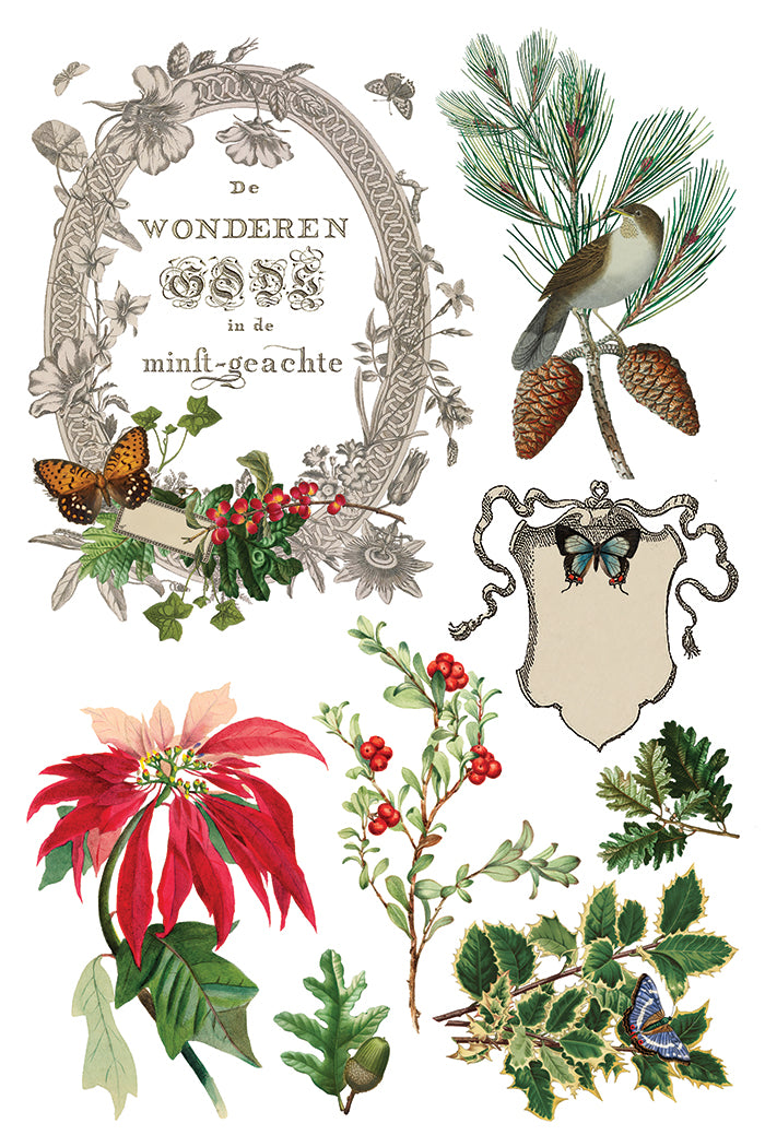 Winter Botanist IOD Transfer
