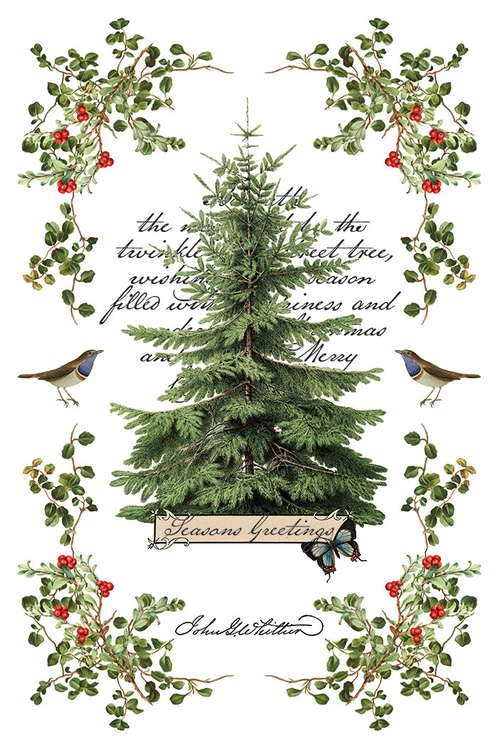Winter Botanist IOD Transfer