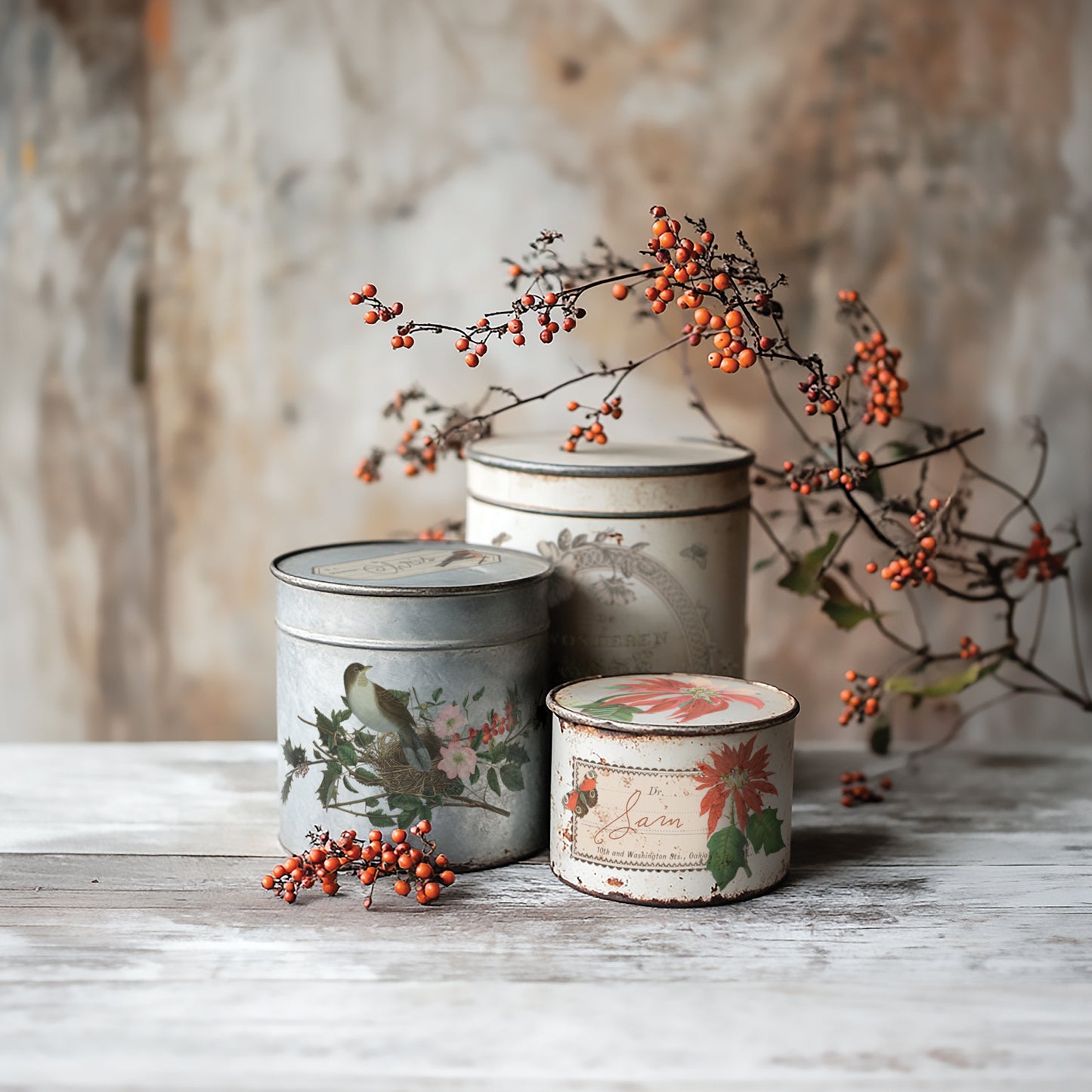 Winter Botanist IOD Transfer