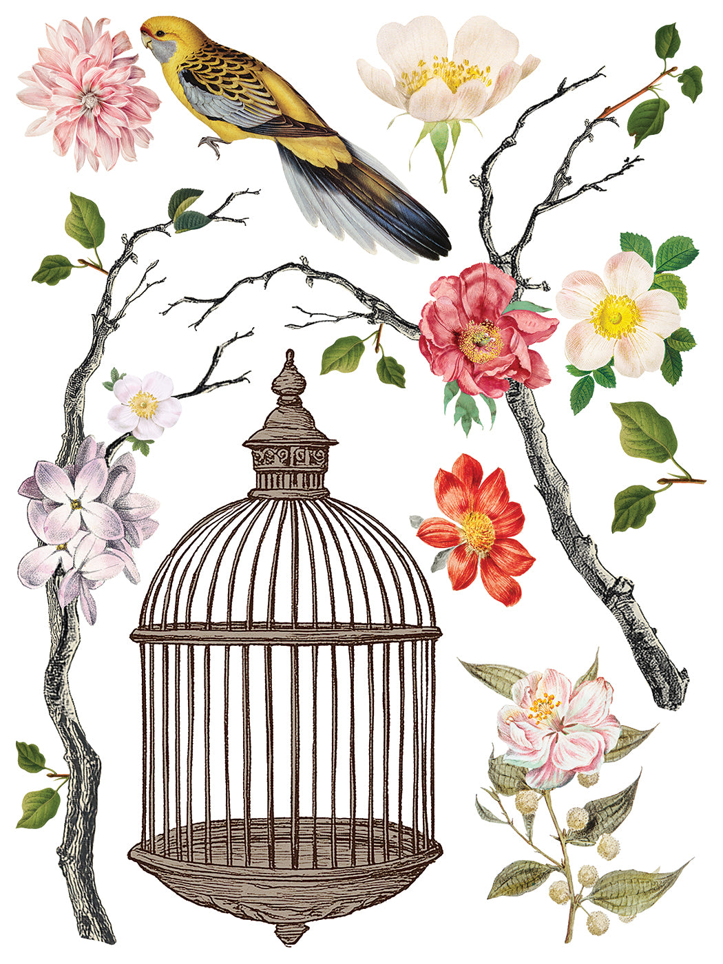 Menagerie IOD Transfer 12x16 Pad™