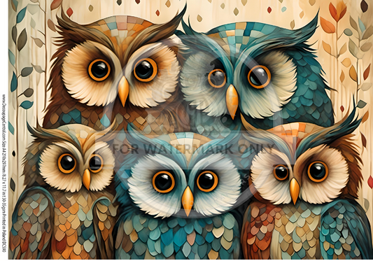 A4 Owl Family Photo Decoupage Rice Paper