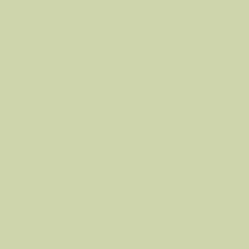 Rethunk Junk Resin Paint GRASSLAND Furniture and Cabinet Paint
