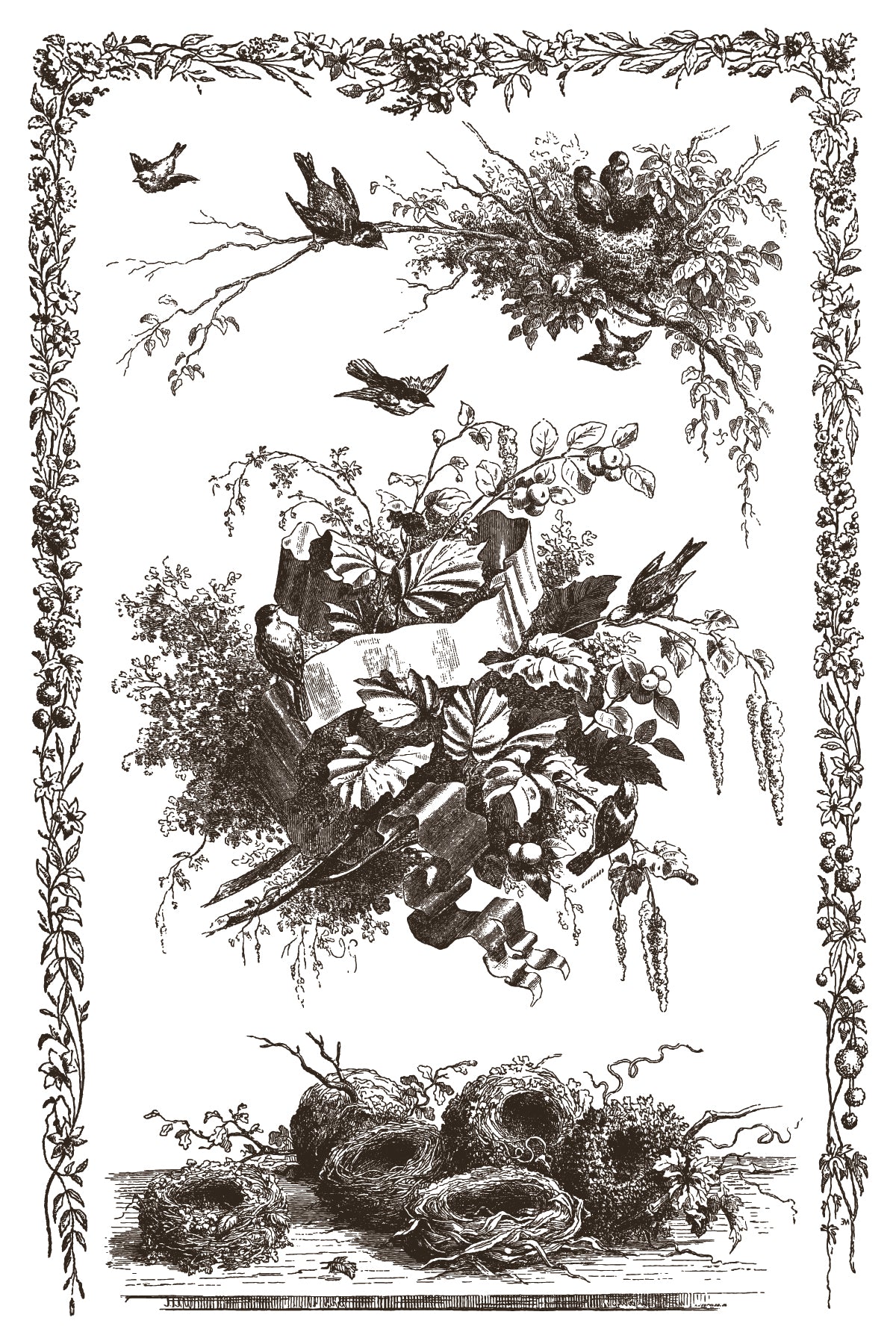 Vintage-style illustration of a woman with birds and nests, framed by decorative elements.