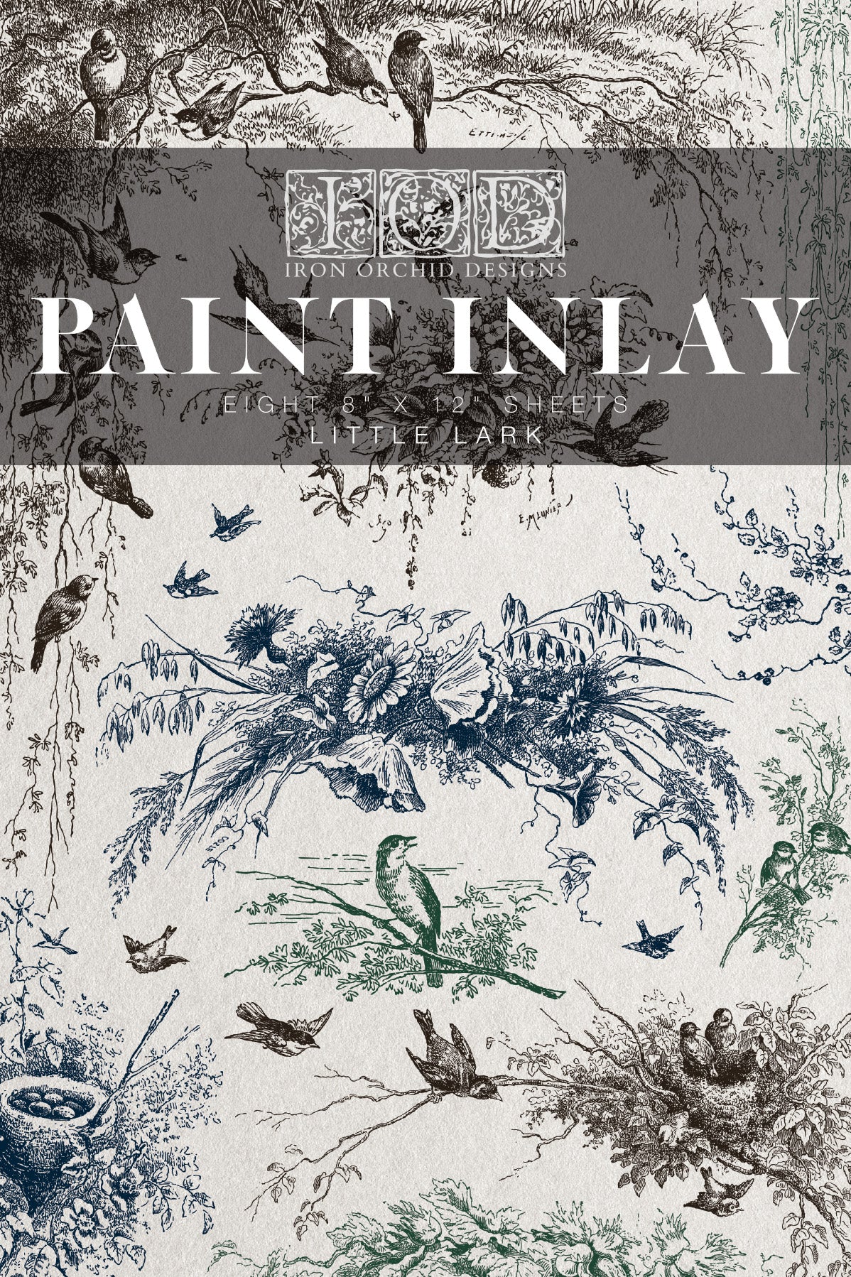 Decorative book cover with nature-themed illustrations and 'Iron Orchid Designs' branding.