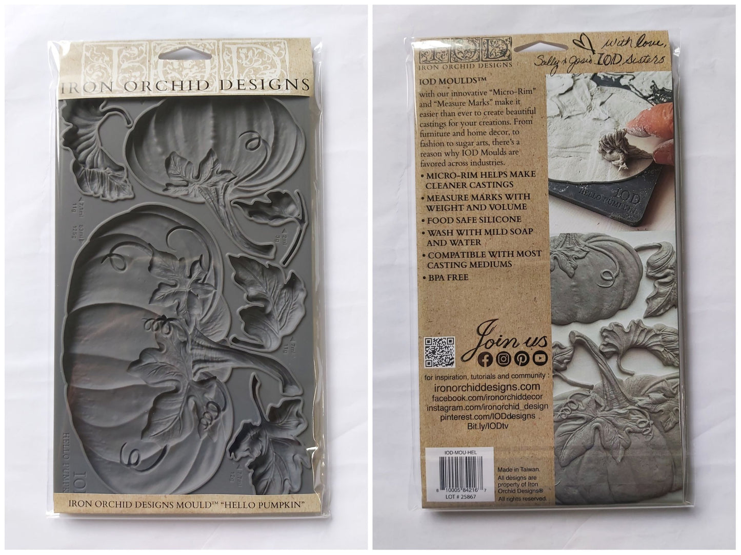 Hello Pumpkins 6x10 IOD Mould™  RETIRED