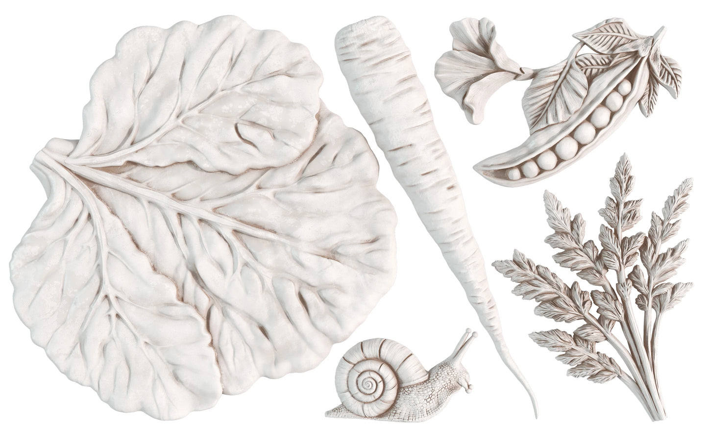 Decorative elements including leaves, a snail, and a carrot on a white background