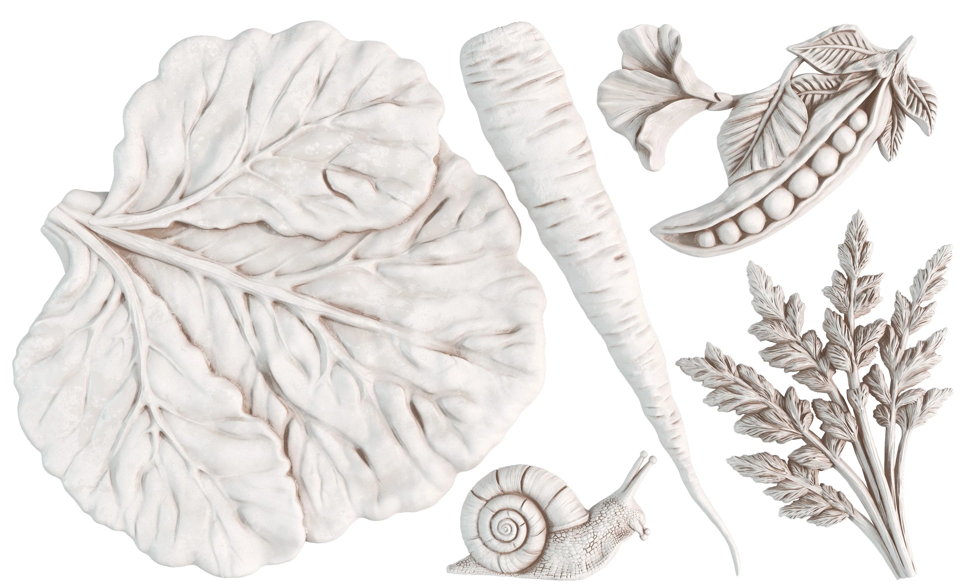 Decorative elements including leaves, a snail, and a carrot on a white background