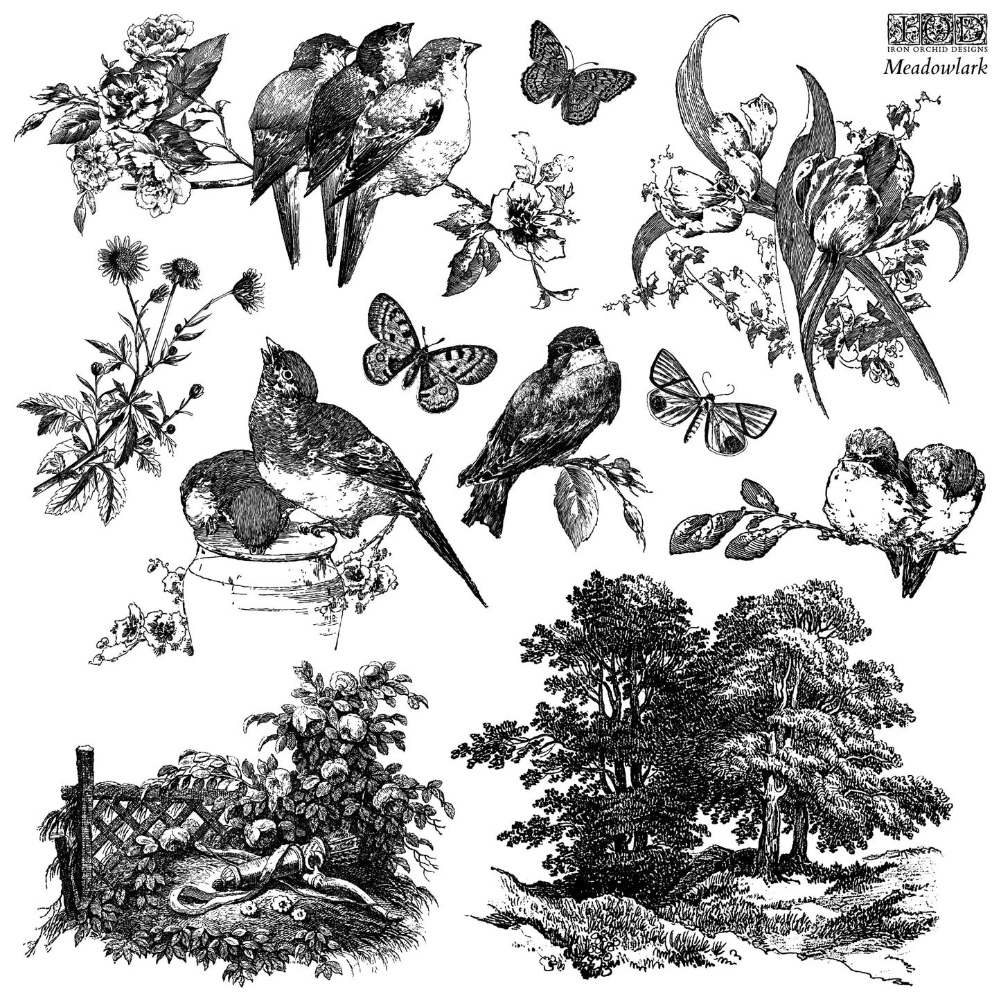 Illustrations of birds, flowers, and trees in black and white on a white background.