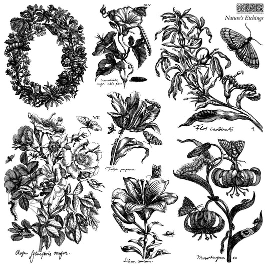 Collection of black and white botanical illustrations with text labels.