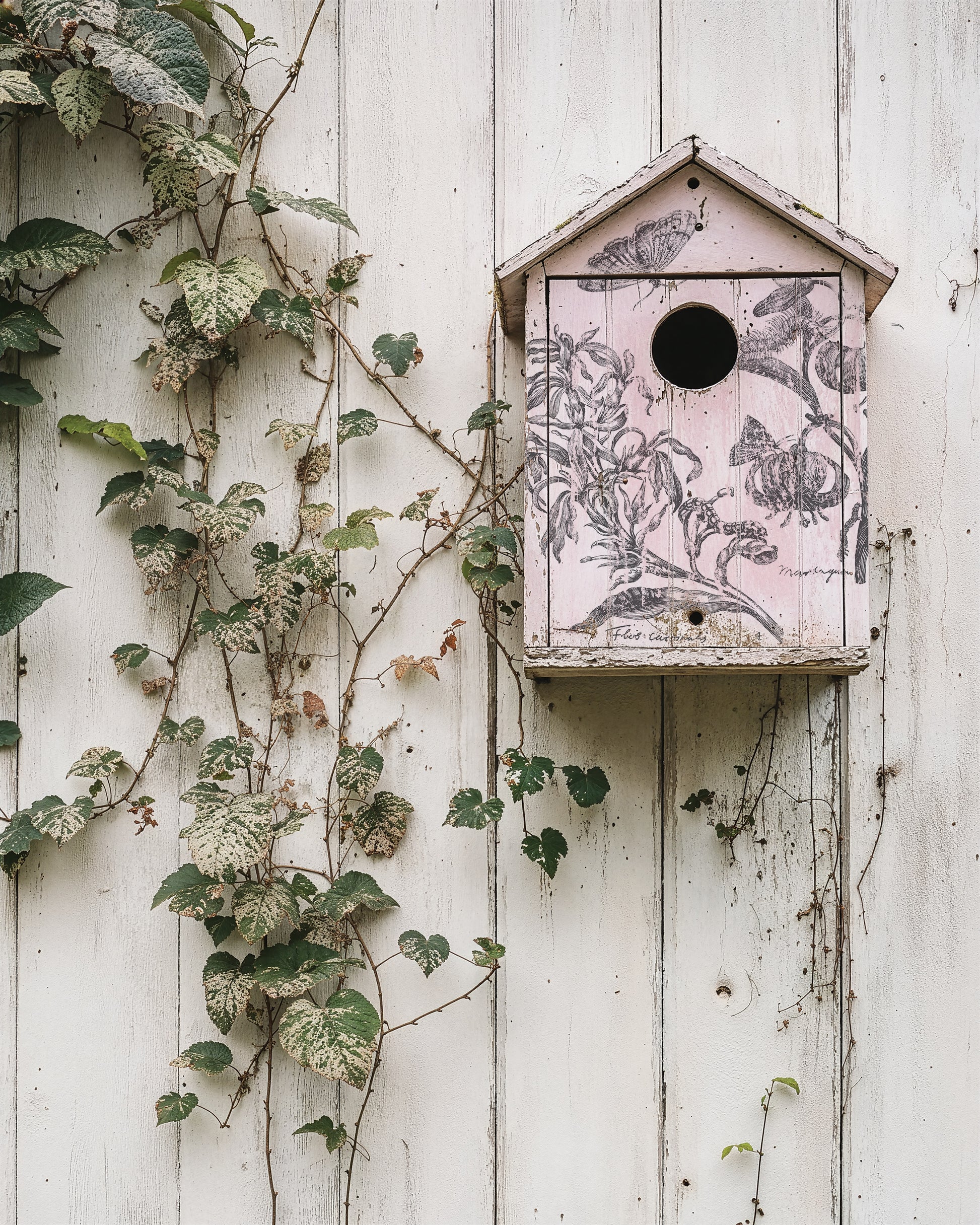 Decorative birdhouse with floral pattern on a white wooden wall with climbing plants.