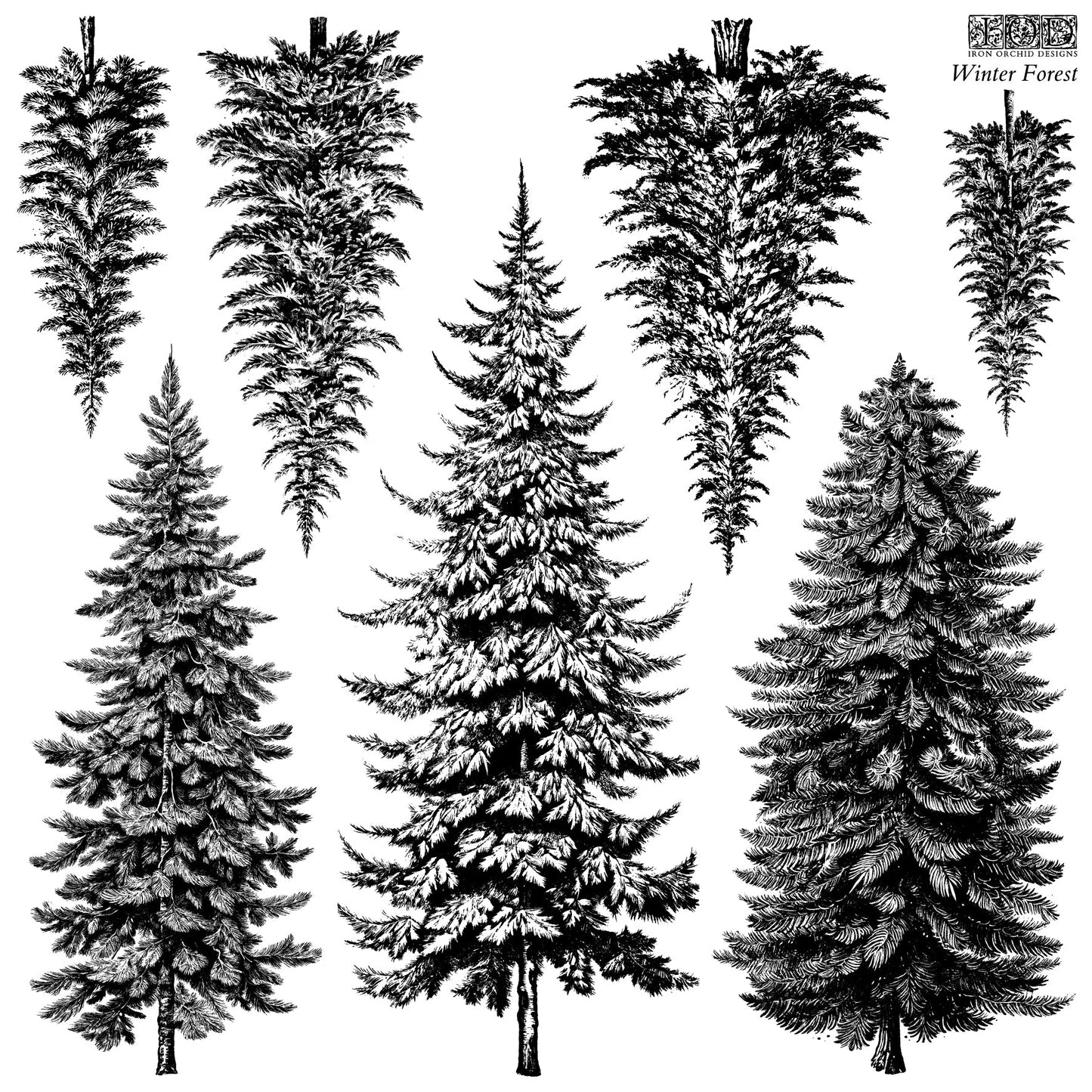 Winter forest stamp