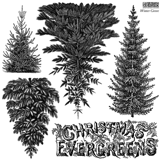Black and white vintage-style illustration of four different Christmas evergreen trees with decorative text reading 'CHRISTMAS EVERGREENS' and 'Winter Grove' in the upper right.