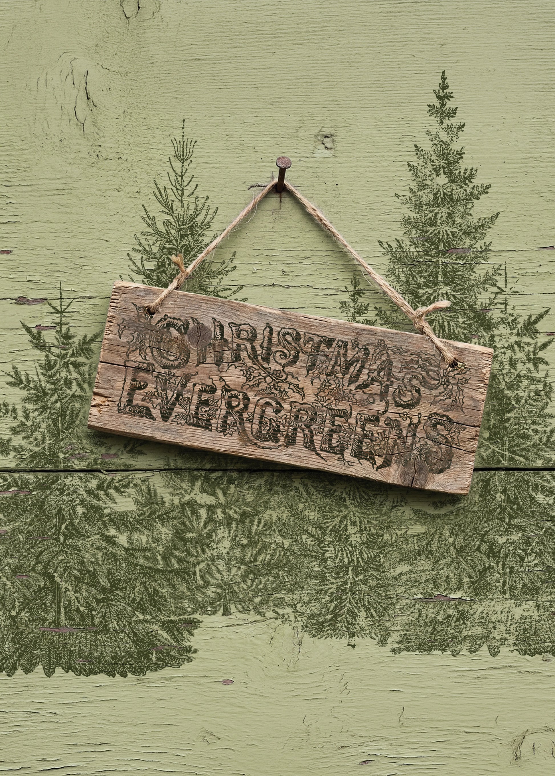 A rustic wooden hanging sign with the words “Christmas Evergreens” in raised lettering, suspended by twine against a painted green wood background with tree silhouettes.