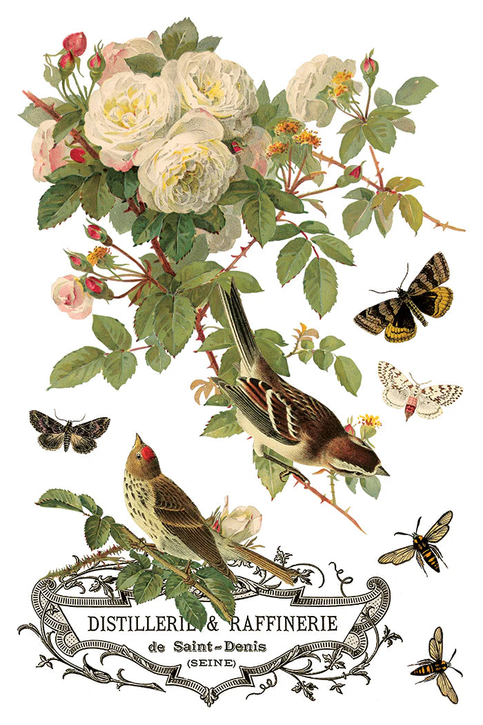 Vintage-style illustration of flowers, birds, and insects with a decorative label at the bottom.