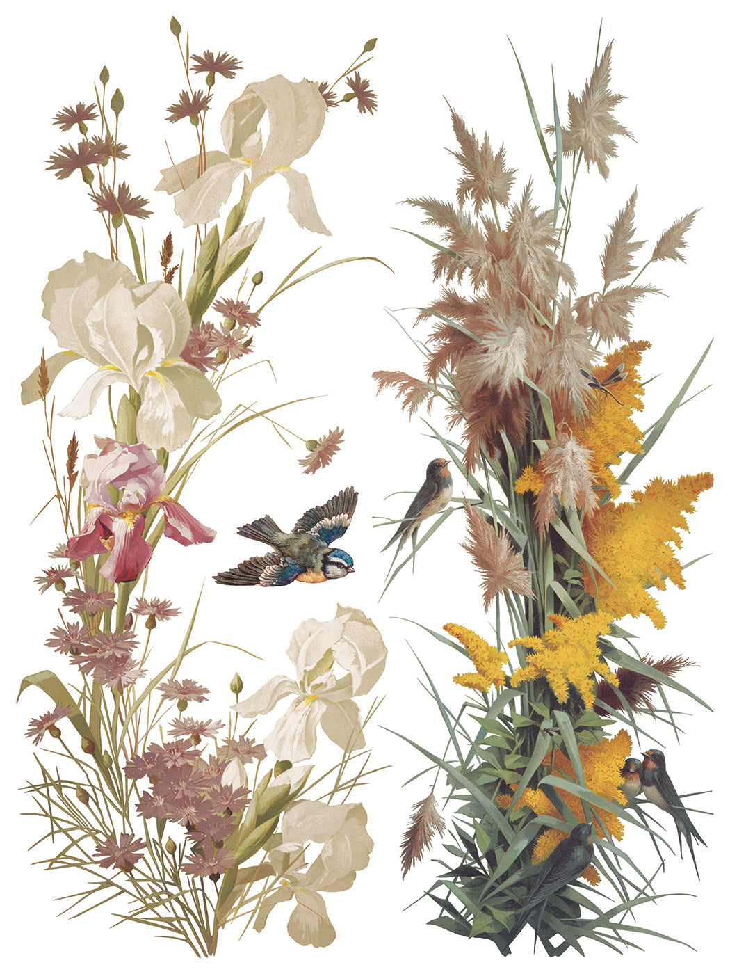 Illustration of flowers and birds on a white background