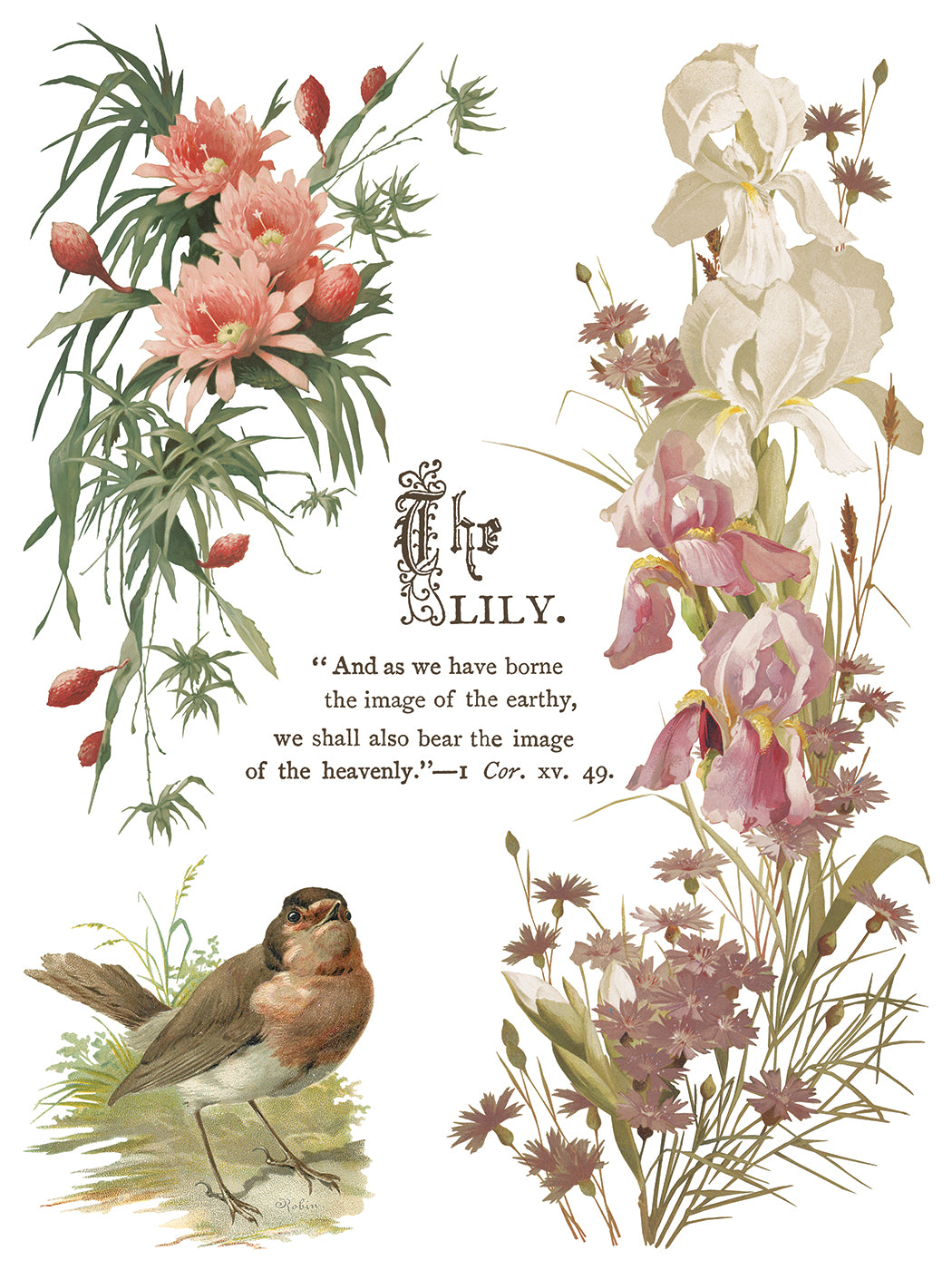 Vintage-style illustration of flowers and a bird with text on a white background