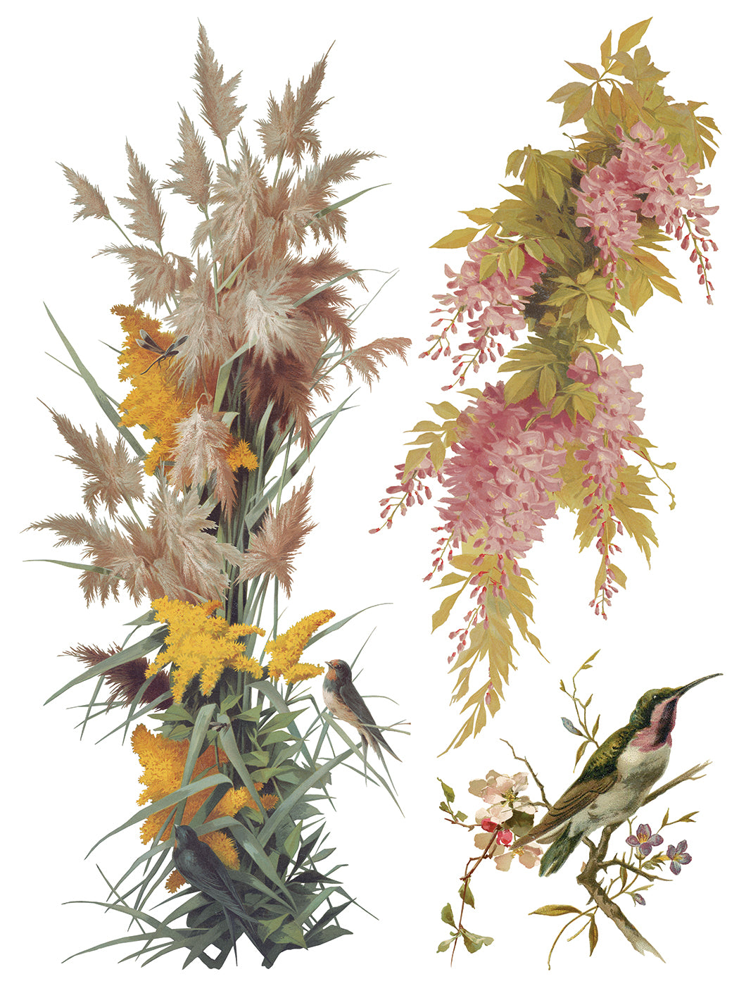 Decorative elements with flowers, birds, and plants on a white background