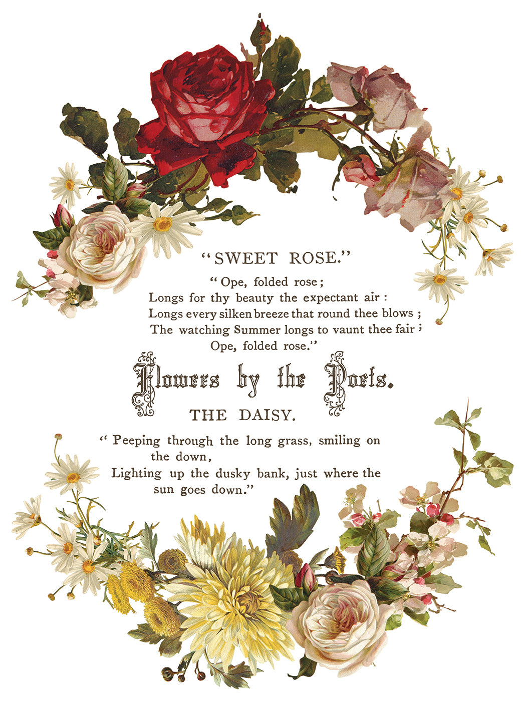 Decorative floral design with text on a white background