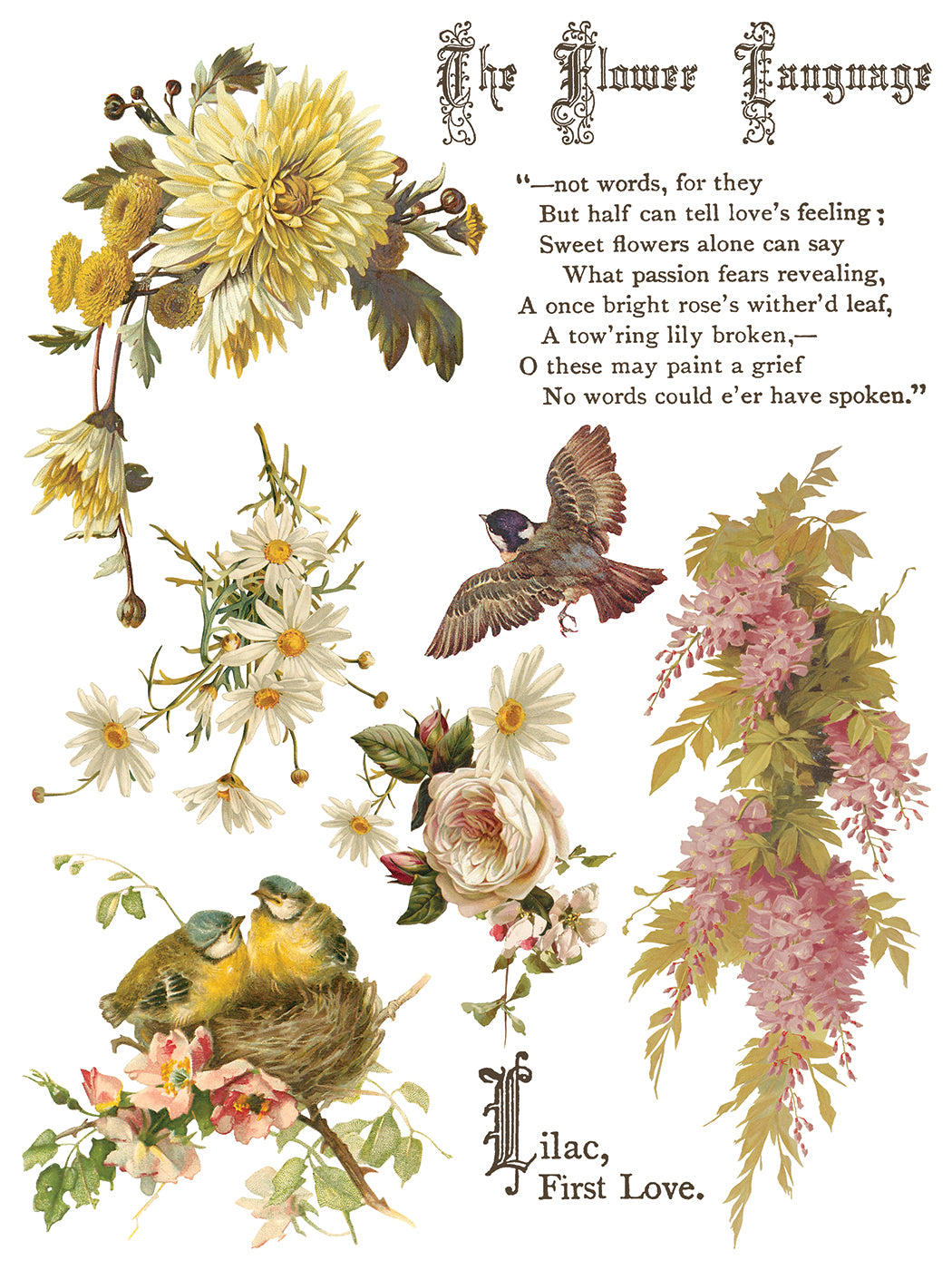 Vintage-style illustration with flowers, birds, and text on a white background