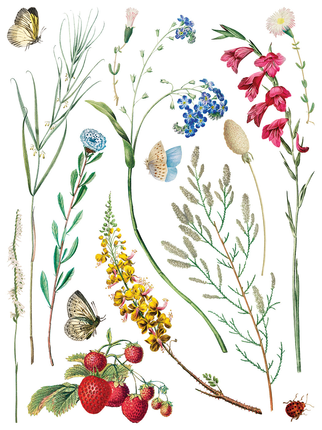 Illustration of various flowers, leaves, and butterflies on a white background