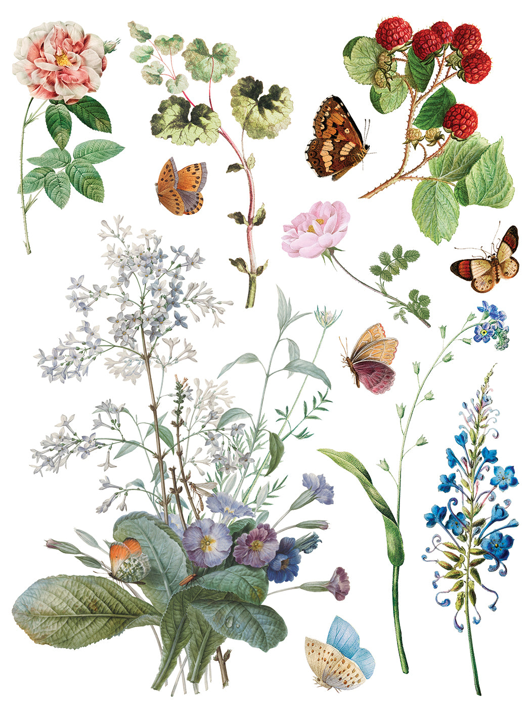Illustration of various flowers, leaves, and butterflies on a white background