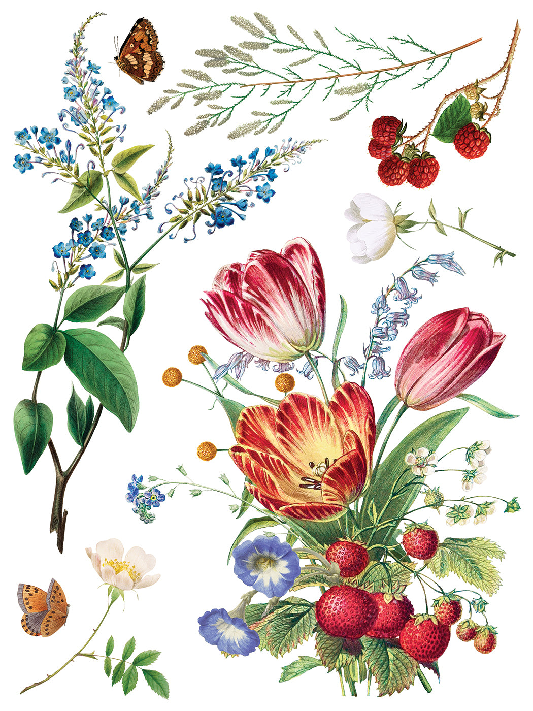Illustration of flowers, berries, and leaves on a white background