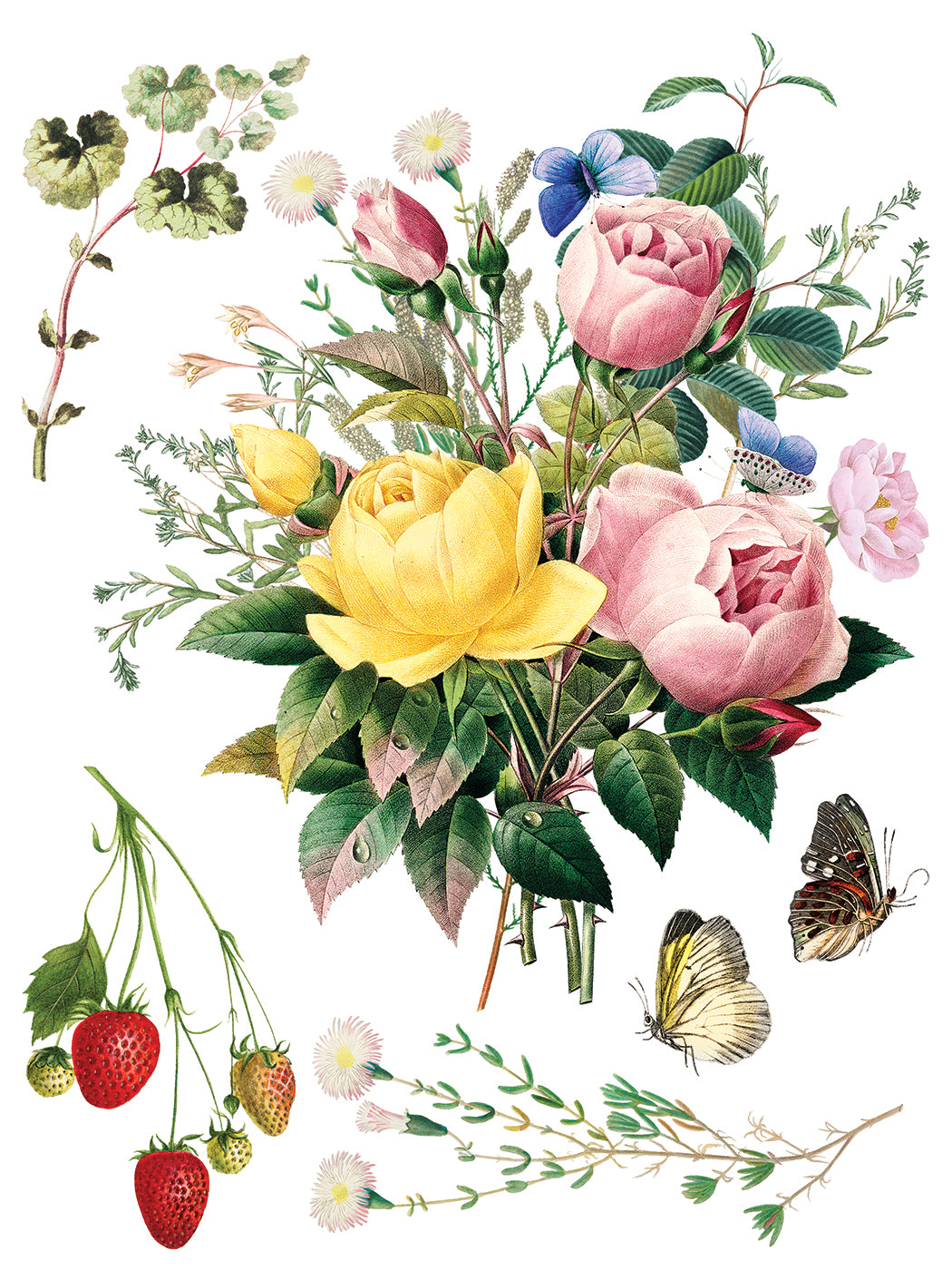 Illustration of flowers, leaves, and butterflies on a white background