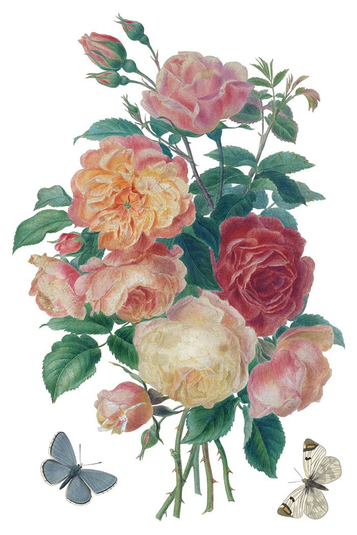 Colorful bouquet of roses with green leaves and butterflies on a white background