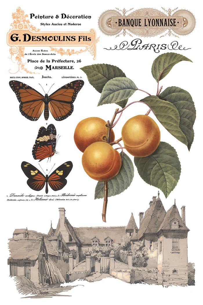 Vintage-style illustration with butterflies, apricots, and a village scene, featuring branding elements.