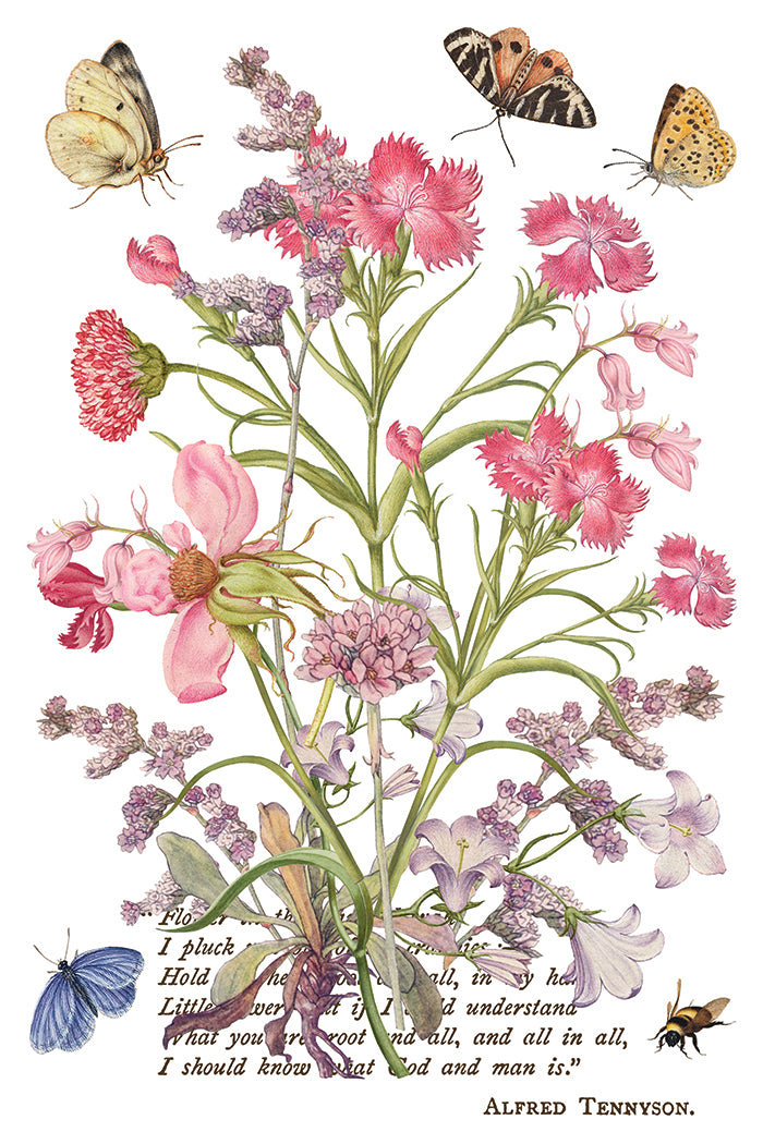 Illustration of flowers and butterflies with a quote by Alfred Tennyson on a white background
