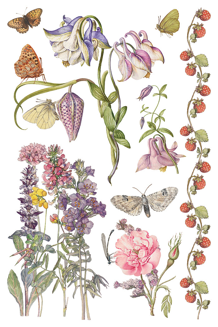 Illustration of flowers and butterflies on a white background