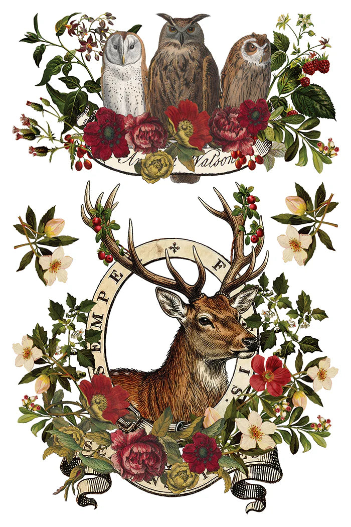 Vintage-style botanical illustration featuring three owls at the top and a deer head with antlers inside an ornate frame at the bottom, surrounded by roses, leaves, berries, and small flowers on a white background.