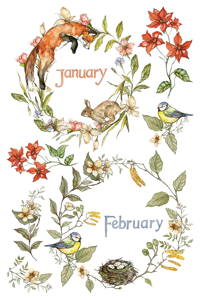 A watercolor-style decorative illustration on a white background showing floral wreaths and seasonal elements around the words January and February. Visible subjects include an orange fox, a brown rabbit, two bluebirds, red flowers, green leaves, and a small bird's nest.