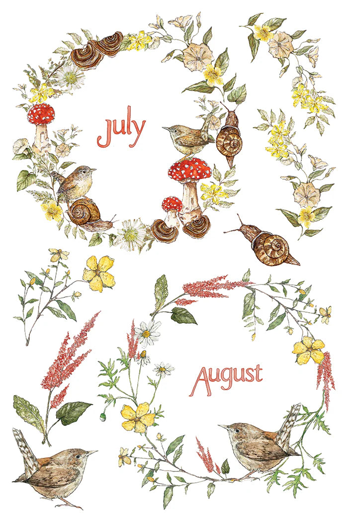A botanical illustration on a white background showing floral wreaths and small birds, with the words 'July' and 'August' in coral script. The artwork includes yellow flowers, red-and-white mushrooms, green leaves, and brown snails.