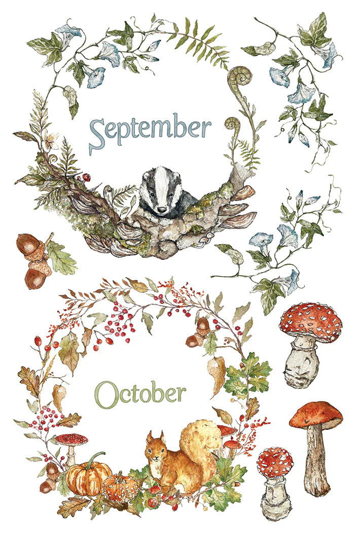 A watercolor-style autumn-themed graphic with two circular botanical frames labeled September and October. The top frame shows a badger among leaves and acorns, while the bottom frame shows a squirrel with pumpkins, berries, and mushrooms.
