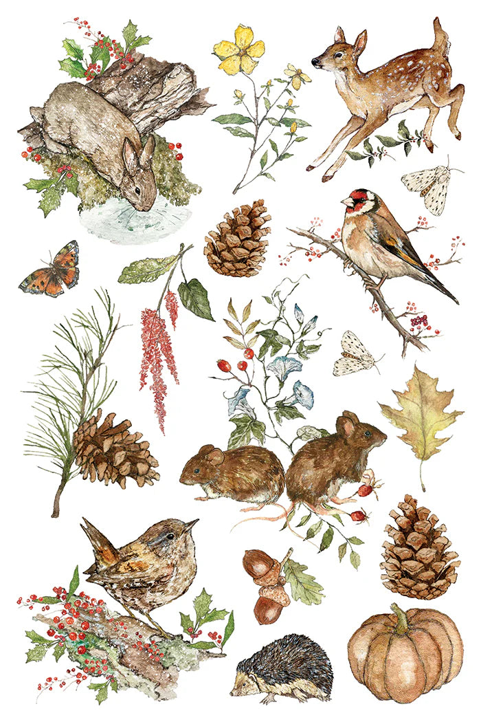 A sheet of watercolor-style autumn nature illustrations on a white background, including a rabbit, deer, birds, pinecones, leaves, berries, acorns, and a hedgehog.