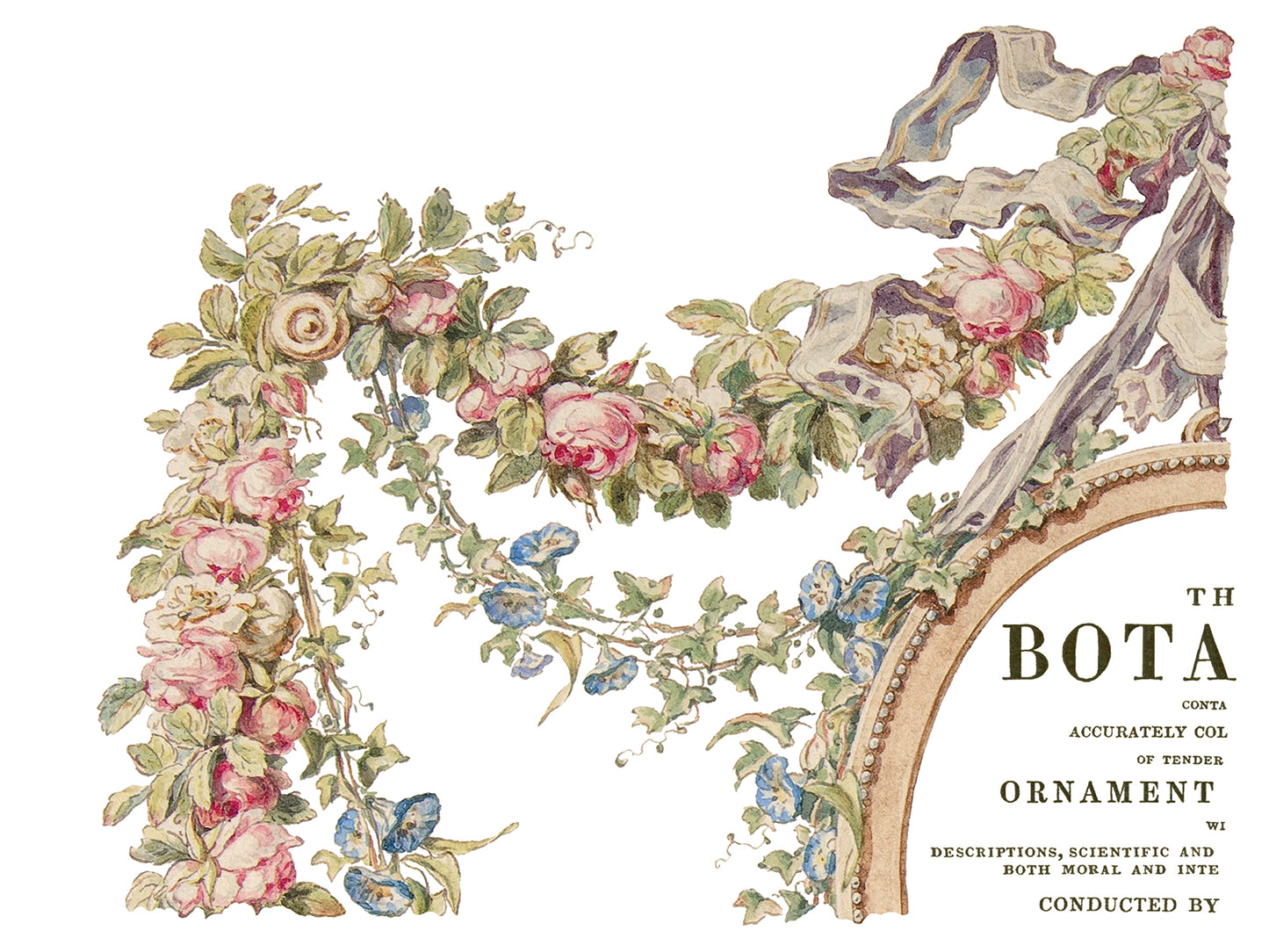 IOD Transfer The Botanist