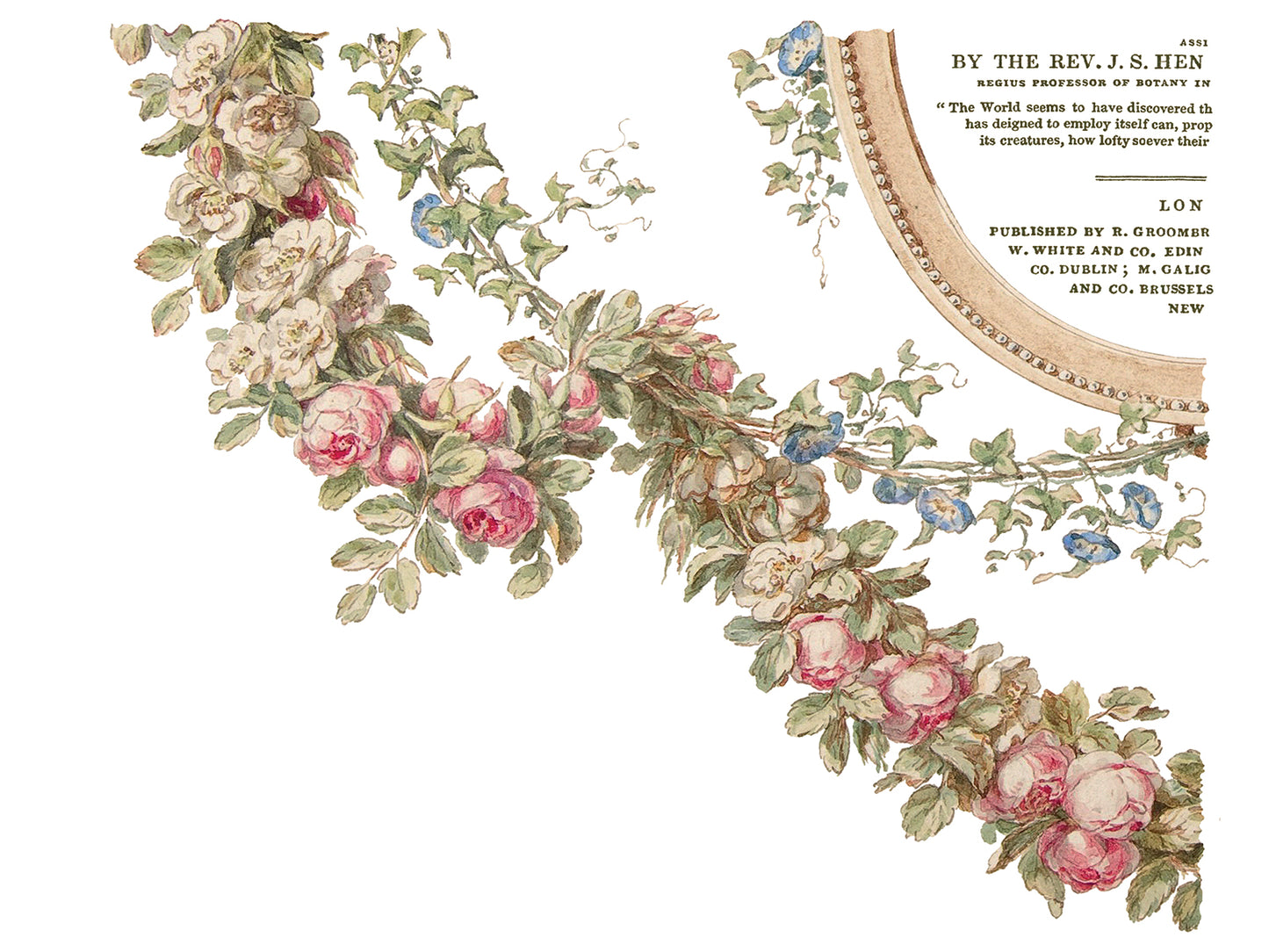 IOD Transfer The Botanist