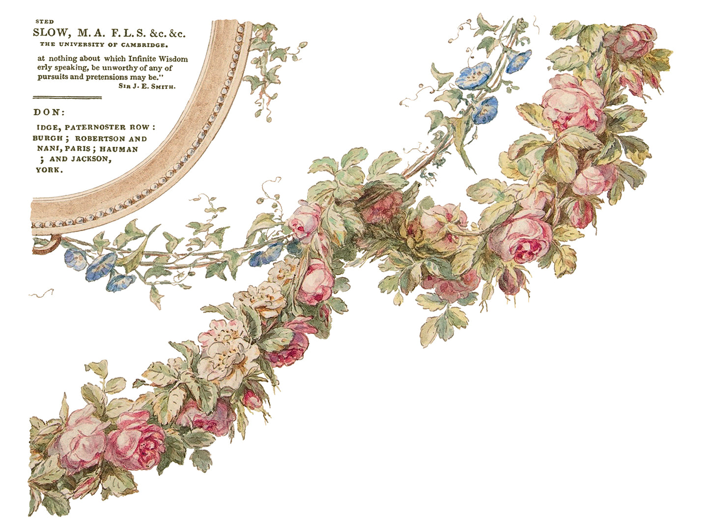IOD Transfer The Botanist