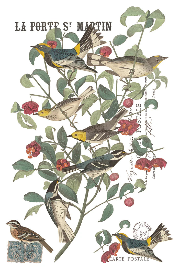 Vintage-style bird illustration print featuring several birds perched on leafy branches with red berries, French text reading 'LA PORTE S. MARTIN' and 'CARTE POSTALE', on a white background.
