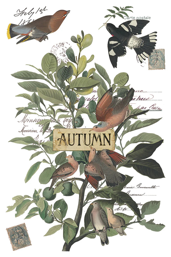 Vintage-style autumn bird illustration print featuring several brown and black birds perched among green leaves on a tree, with a central wooden sign reading "AUTUMN" and faint handwritten script in the background.