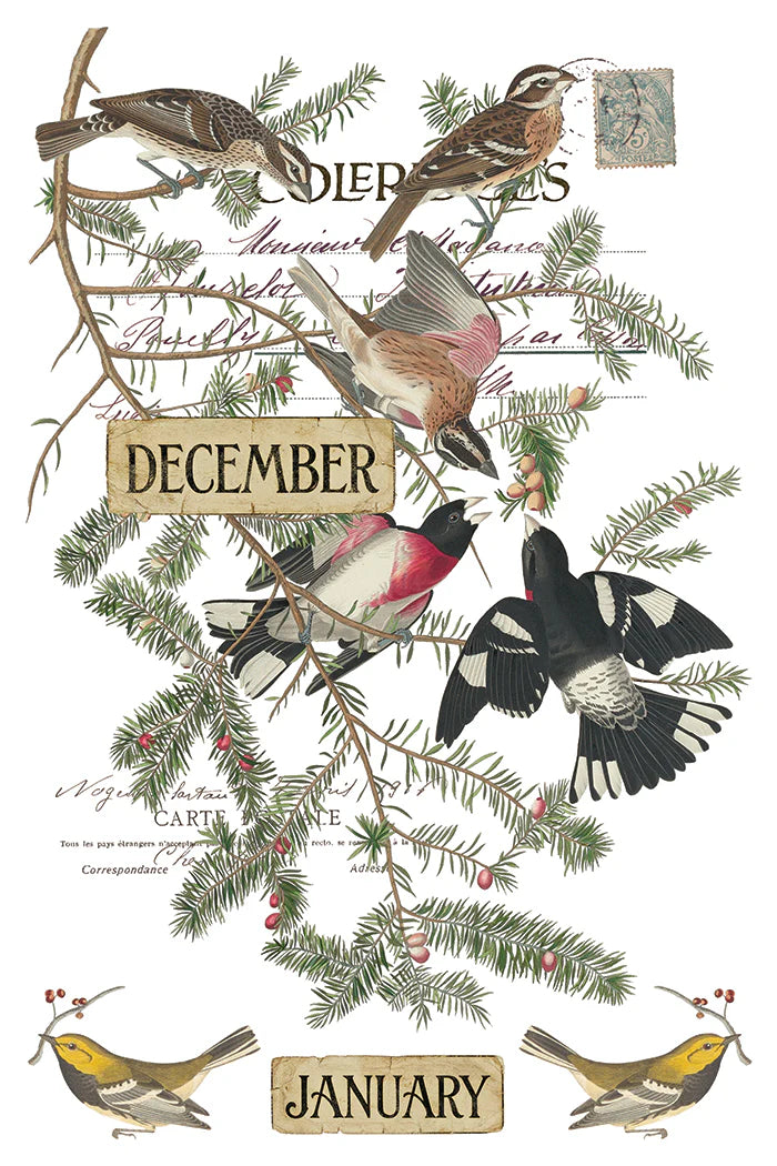 Vintage-style bird illustration print showing several birds perched on evergreen branches with handwritten letters and a postage stamp, plus labels reading December and January.