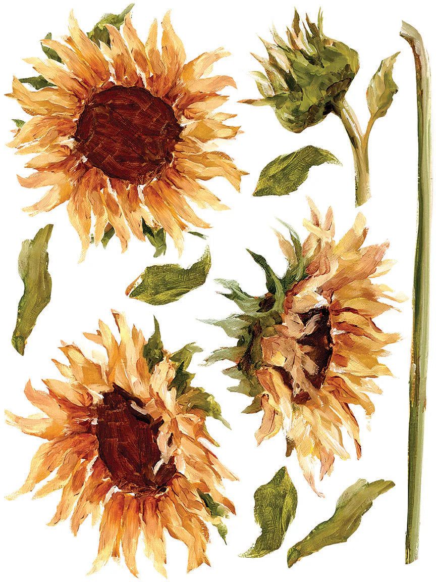 IOD Transfer Painterly