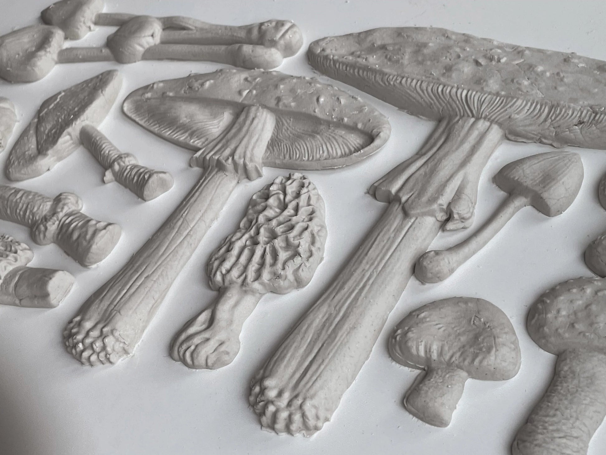 Gray mushroom sculptures on a white background