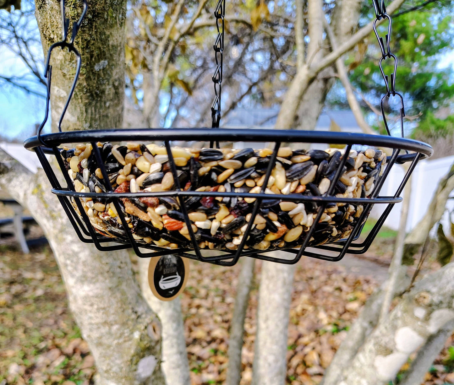 Birdseed Wreath (Nut Berry Fruit)